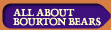 All about Bourton Bears